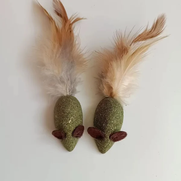 CATNIP TOYS - Image 2