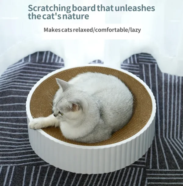 Cat Scratcher