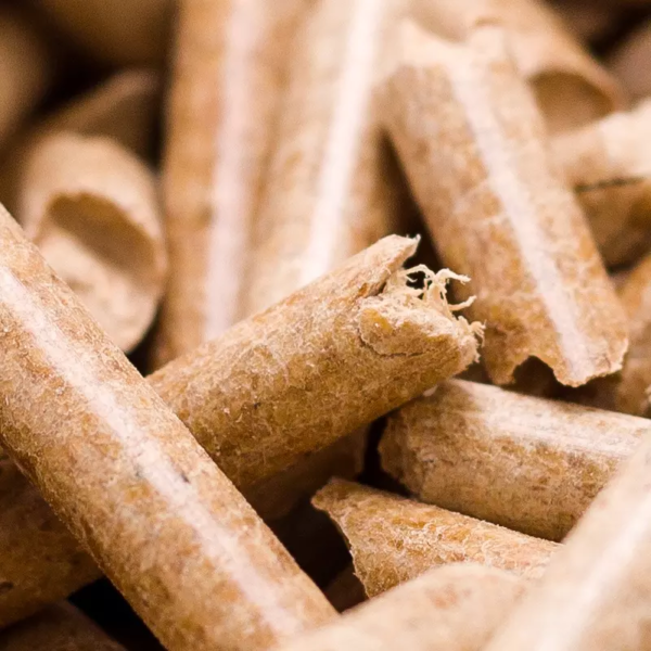 Pine Wood Cat Litter - Image 2