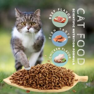 cat food