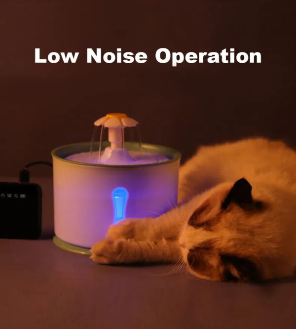 Pet Water Dispenser
